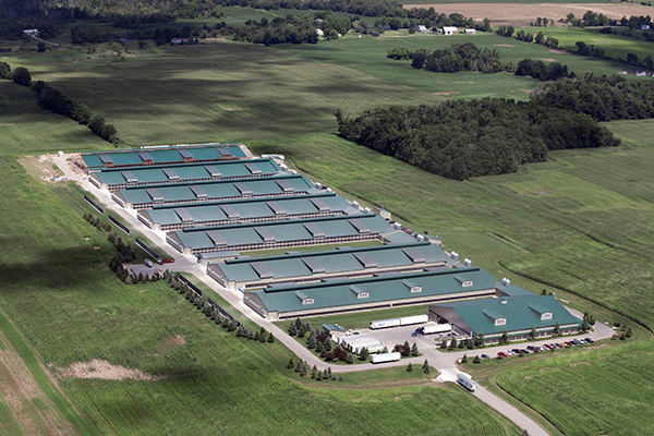 Huizhou AgileHorizons Group Co.,Ltd