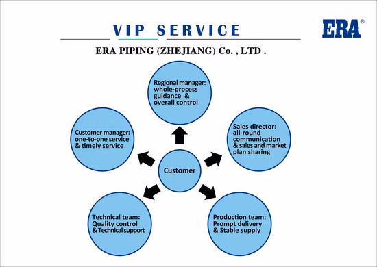 Era Female Adaptor CPVC DIN Standard Fittings CE